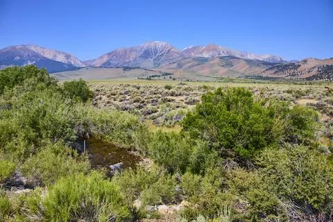 Williams Butte Mountain Range Summer Landscape with Creek and Sagebrush Foto stock