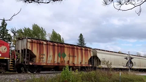 WILLIAMS, MN - 12 OCT 2025: CN freight train at a crossing Stock Footage 319052235
