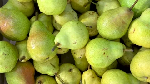 Williams pears in cardboard crate Stock Footage 306261605