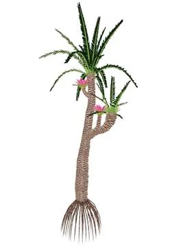 Williamsonia gigas prehistoric tree. Stock Illustration
