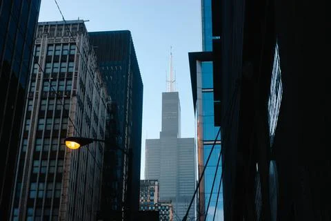 The Willis Tower Photos