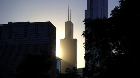 Willis Tower Sears Tower in Chicago, illuminated by warm glow of setting or Stock Footage 319361400