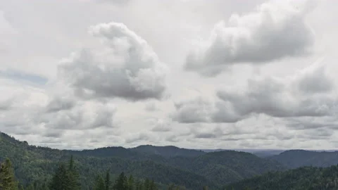 Willits, CA Viewpoint, Clouds over Jackson Demonstration State Forest Timelapse Stock Footage 197107707