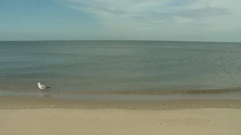 Willoughby storm damage reduction project area - 2015 Stock Footage 99685791