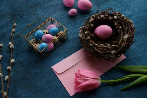 Willow and tulip, easter eggs, gift box and nest Stock Photos
