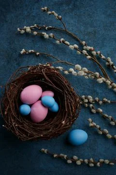Willow and tulip, easter eggs, gift box and nest Stock Photos