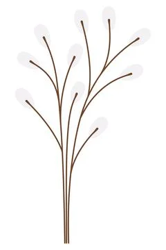 Willow. Bouquet of tree branches. Stock Illustration