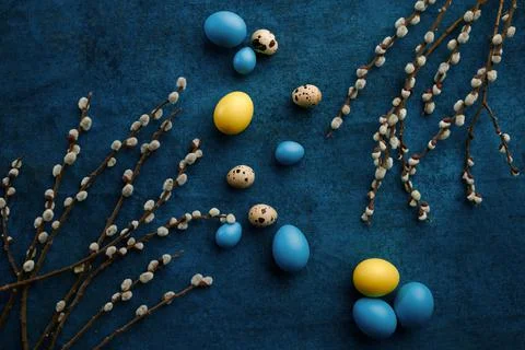 Willow branch and easter eggs on blue background Stock Photos