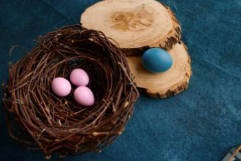Willow branch, easter eggs in nest and tableware Stock Photos