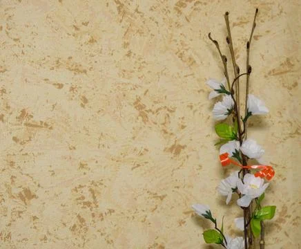 Willow Branch Stock Photos