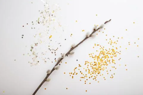 Willow branch on white background Stock Photos