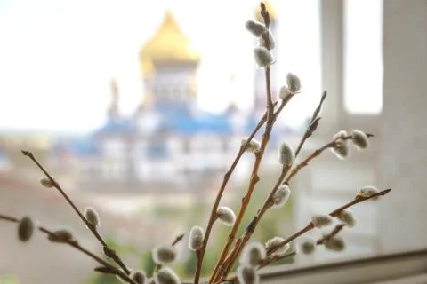 Willow branches against the background of the domes of the Orthodox Church. Stock Photos