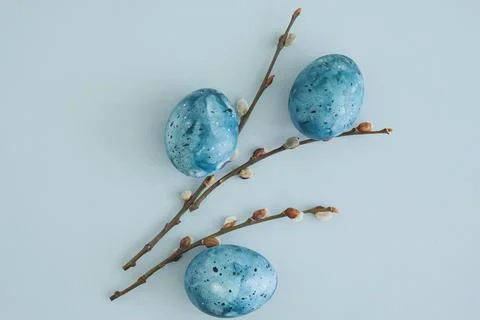 Willow branches and easter eggs as a symbol of easter on a blue pastel Stock Photos
