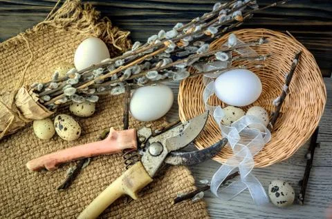Willow branches and eggs on the table Stock Photos