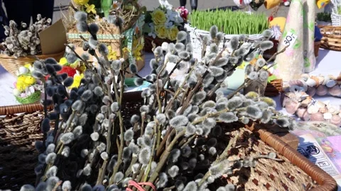 Willow branches with catkins in basket Video stock 332331665