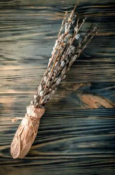 Willow branches closeup Stock Photos