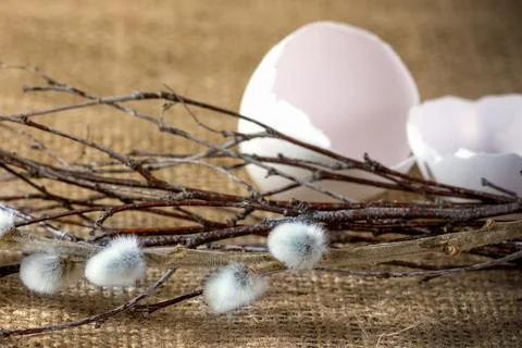 Willow branches, eggs lie on the fabric. Easter holiday background Stock Photos