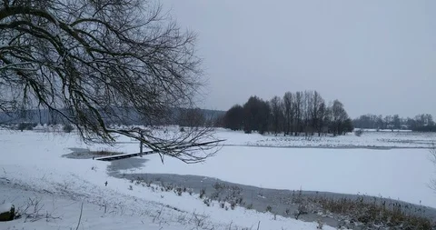 Willow branches in front of a bridge across flooded and frozen riverine woodland Stock Footage 101882901