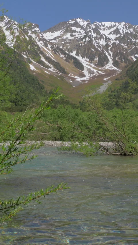 Willow Branches Over Clear Mountain River Vertical Video Stock-Footage 346002404