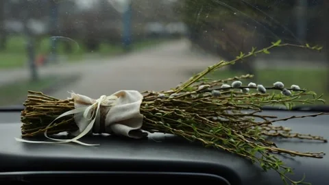 Willow Branches for Palm Sunday on Car Dashboard Stock Footage 346064477