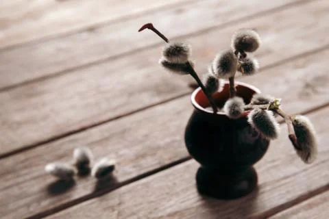 Willow branches in vase Stock Photos