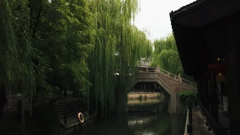 Willow by a Bridge in China Stock Footage 172737535