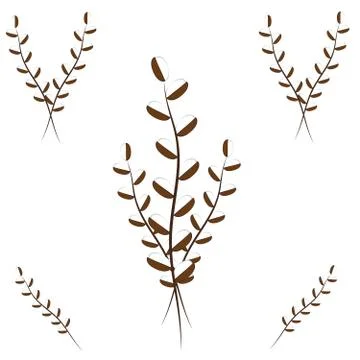 Willow buds on white background Stock Illustration