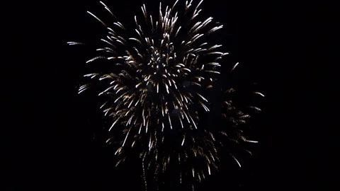 Willow fireworks explode with golden trails slow motion Stock Footage 119596552