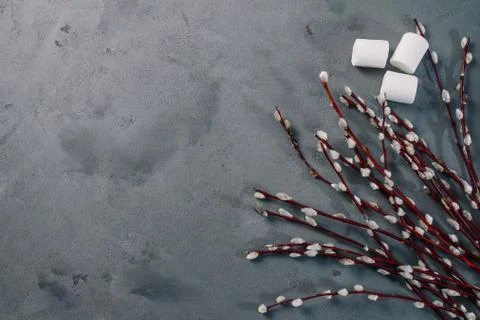 Willow flowers. Candy, top view flat lay, dark background. Stock Photos