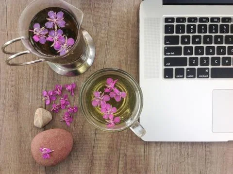 Willow herb Ivan tea in cup near the laptop at the wood table workplace Stock Photos