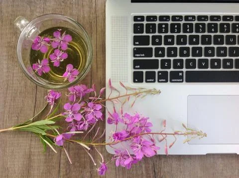Willow herb Ivan tea in cup near the laptop at the wood table workplace Stock Photos