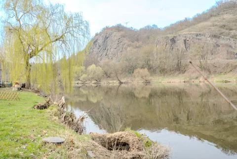 Willow leaves bloom in early spring near the Berunka River. Nature conservation Stock Photos