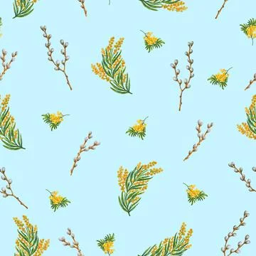 Willow mimosa pattern watercolor light blue Stock Illustration