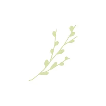 Willow in rustic style on colorful background Stock Illustration