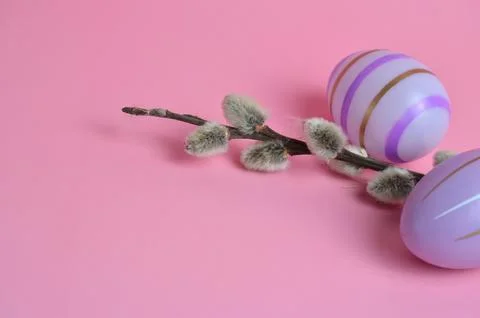 Willow sprig and Easter eggs on a pink background. Stock Photos