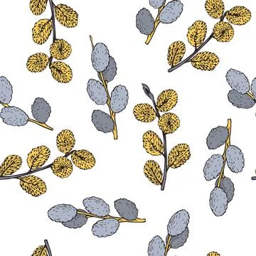 Willow spring branches . Vector  pattern. Stock Illustration