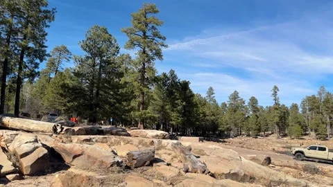 Willow Spring Lake in Payson Stock Footage 326178971