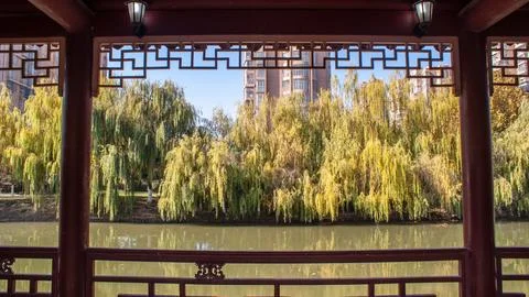 Willow Though the Balcony Stock Photos