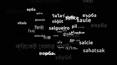 Willow Translated in 63 Worldwide Languages Endless Looping 3d Zooming Wordcl Stock Footage 145214241