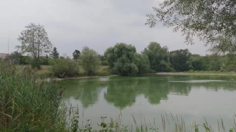 Willow Tree and House Reflected in Rural Pond, Wide Shot Видео 343029989