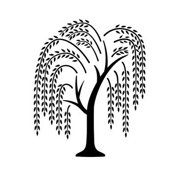 Willow tree. Black icon with tree. Vector illustration isolated on white Stock Illustration