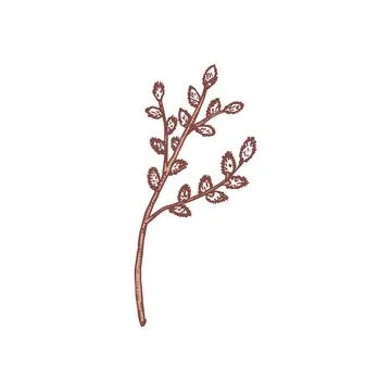 Willow tree branch, hand drawn sketch vector illustration isolated on white Stock Illustration