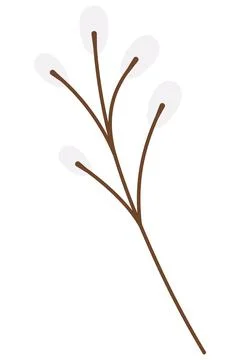 Willow. A tree branch. A plant with fluffy buds. Color vector illustration. Stock Illustration