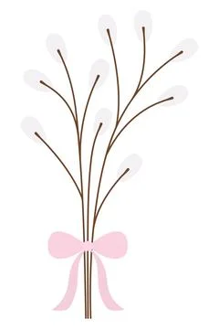 Willow. Tree branches are tied with a pink bow. Bouquet of fluffy plants. Stock Illustration