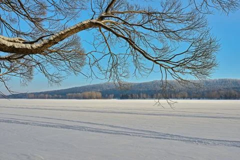 Willow tree branches hang over a frozen river. Foto stock