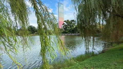 Willow Tree Branches Swaying Over Lake Water With Skyscraper Background Stock Footage 344717316