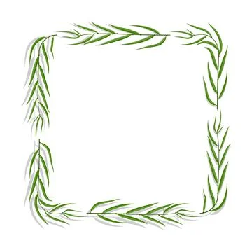 Willow tree frame with green leaves. Square border for greeting card decora.. Illustrazione stock