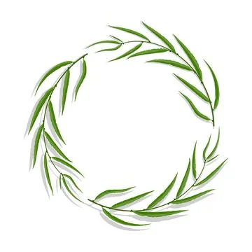 Willow tree frame with green leaves. Wreath border for greeting card decora.. Stock Illustration