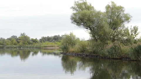 Willow tree at landscape along the Havel River 스톡 동영상 56151218