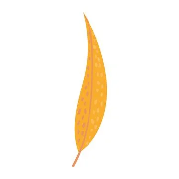 Willow tree leaf in autumn hand drawn illustration. Illustrazione stock